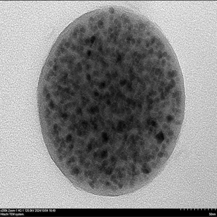 磁性PLGA納米顆粒